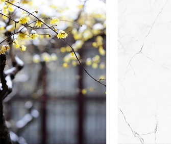 產(chǎn)品鑒賞丨耐人尋味的美感，總是“瓷”簡意賅